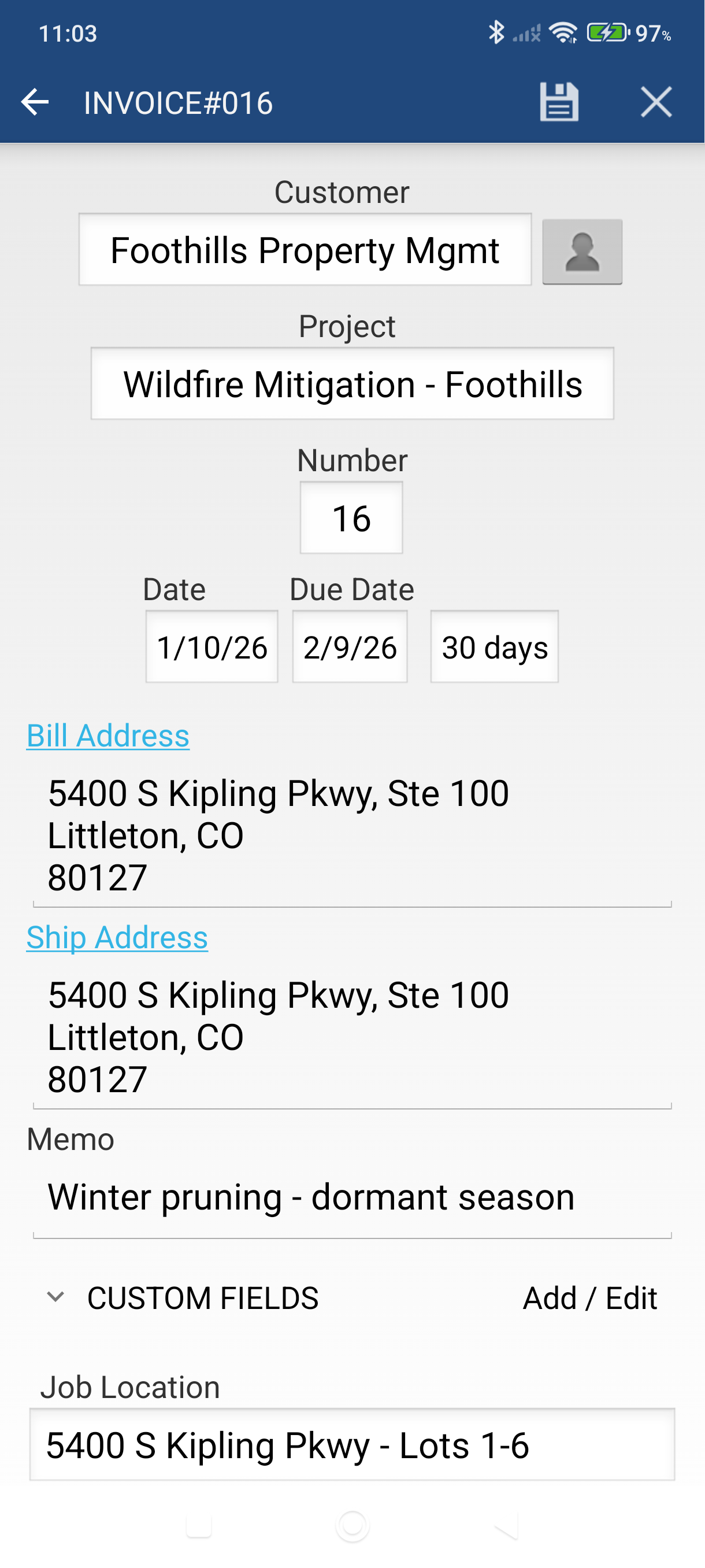 Invoice edit screen showing the Project field below the customer field