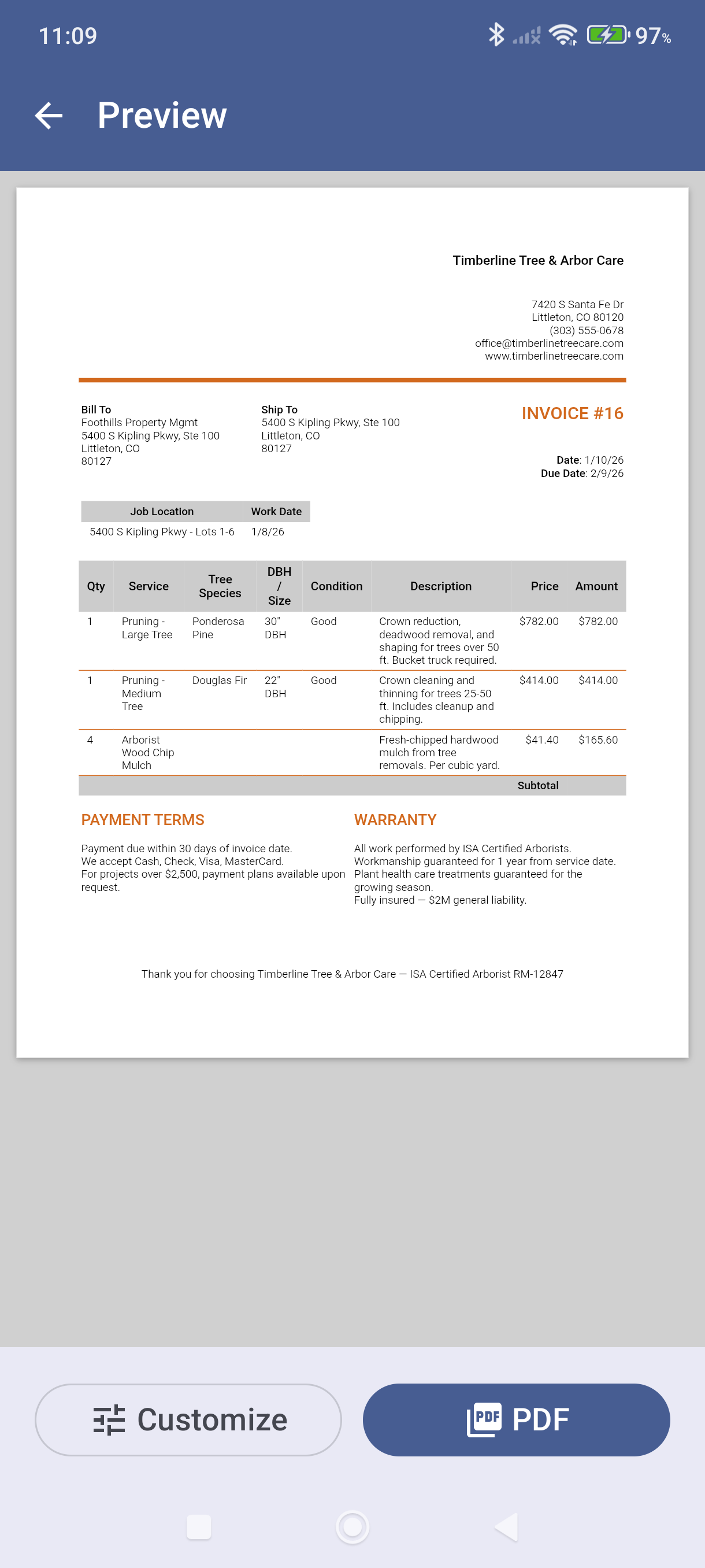 Print Preview showing the invoice PDF with Detail Fields table and Customize button